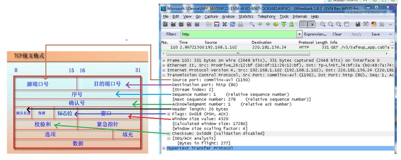 tcpinfo